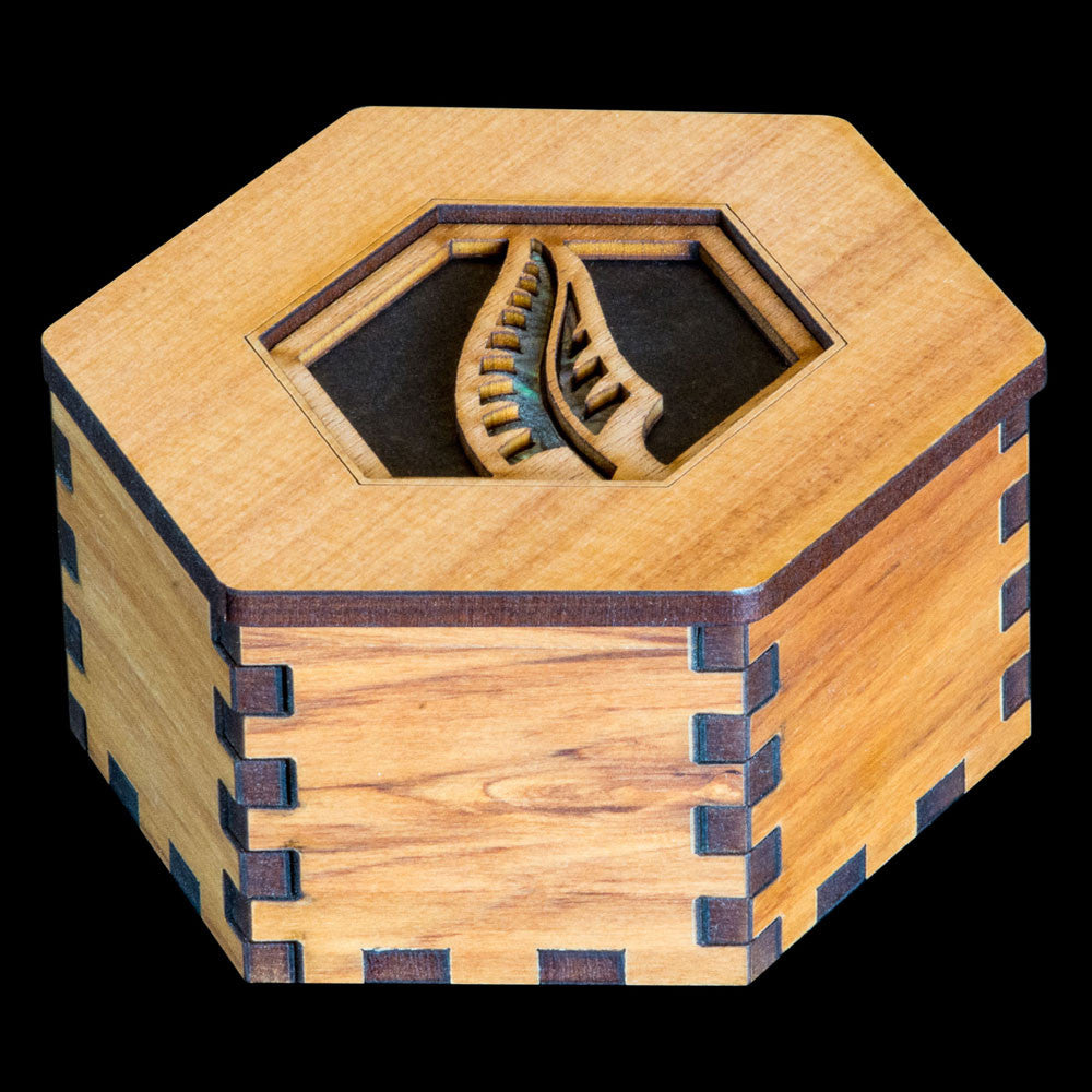 Fern Leaf Gift Box-0